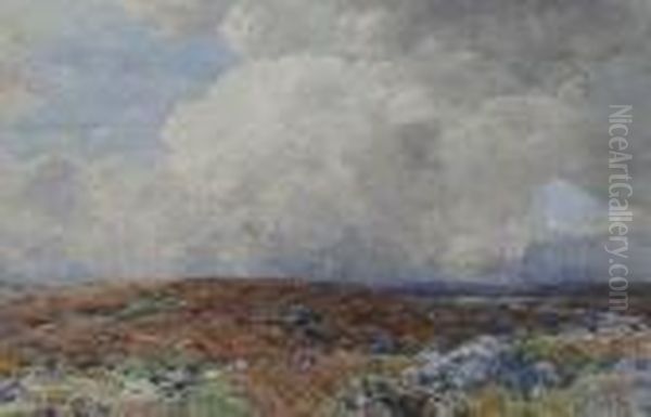 Rannoch Moor - view 1