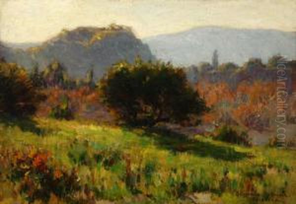 California In Midwinter - view 1