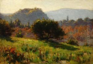 California In Midwinter
