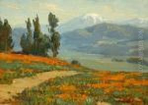 Golden Poppies