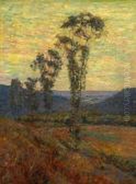 Summer Sunset And Eucalyptus - view 1