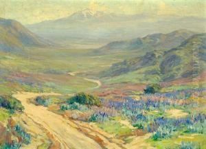 Southern California Landscape