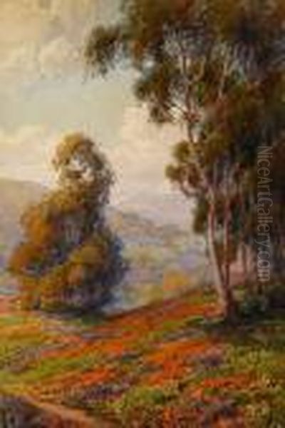Hillside With Eucalyptus - view 1