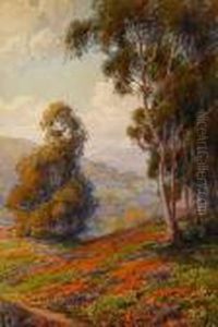 Hillside With Eucalyptus