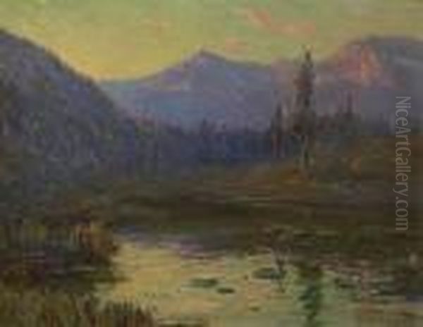 Summer Stream At Sunset - view 1