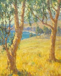 Eucalypti Near Arch Beach, California