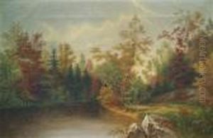 Wooded Scene With Brook