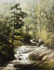 Woodland Waterfall by Harrison Bird Brown