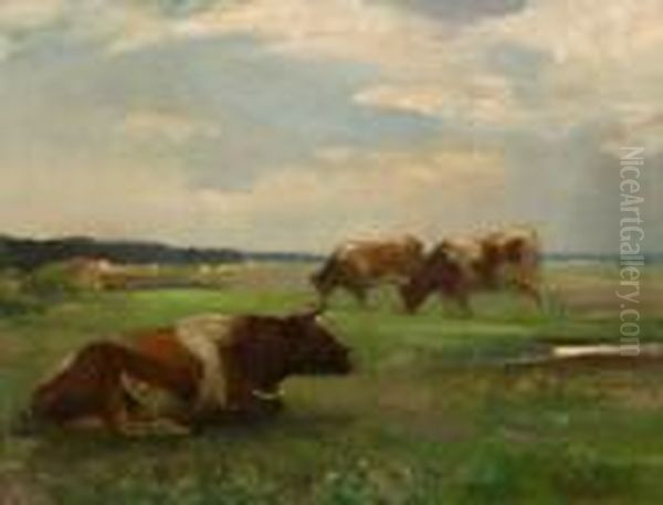 Halvergate Marshes - view 1