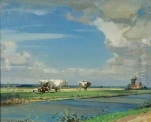 The Cut, Haddiscoe Marsh