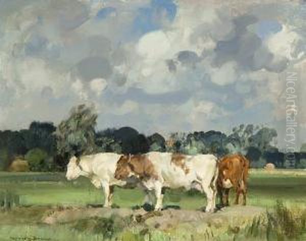 Cattle In A Field - view 1