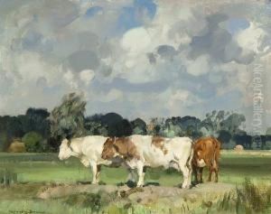 Cattle In A Field