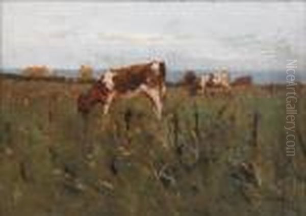 Cattle Grazing In A Meadow, On Board Signedlower Right - view 1