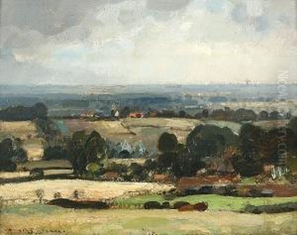 A Norfolk Farm - view 1