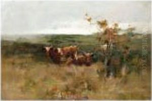 Cows In A Field Cows In A Field