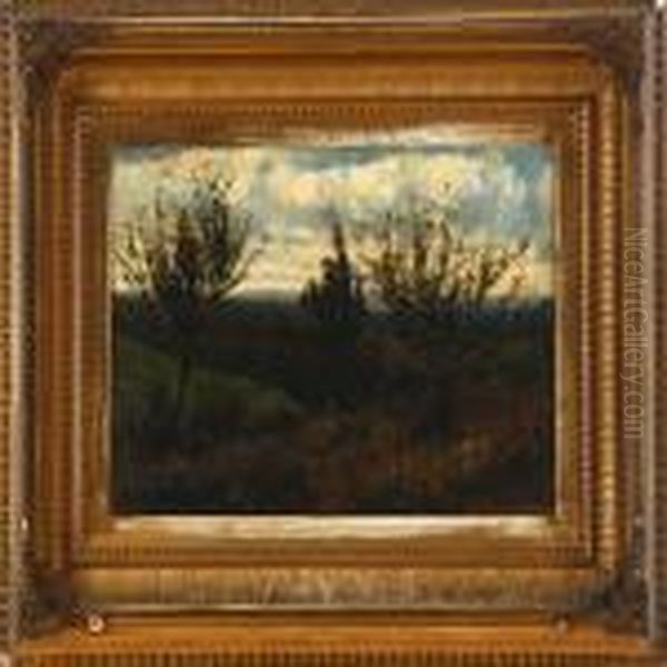 A Landscapescenery With Trees - view 1