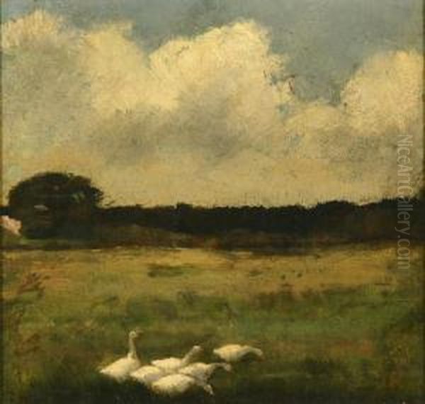 Geese - view 1