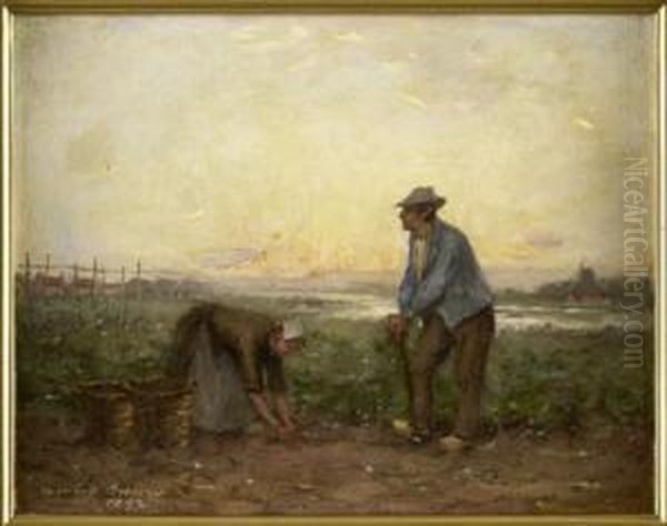 Potato Pickers - view 1