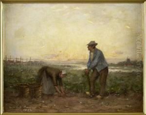 Potato Pickers