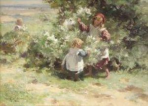 May Blossom