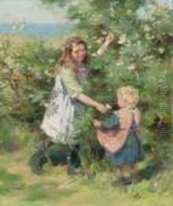 Wayside Roses