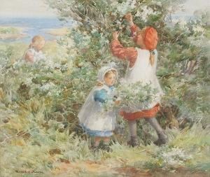 Harvesting The Elderflowers