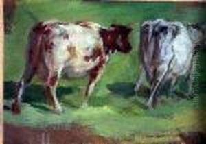 Cattle Study