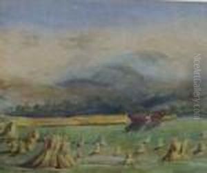 Harvest-time