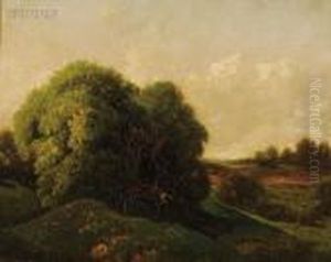 A Summer Day - Long Island