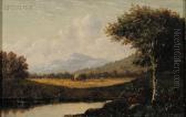 Landscape - view 1