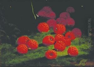 Raspberries