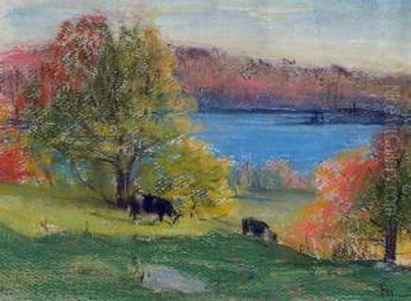 Gatineau Scene - view 1