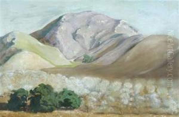 A Walnut Orchard - view 1