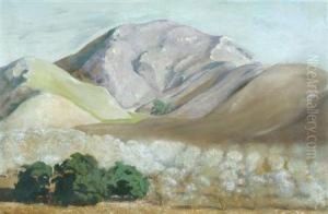 A Walnut Orchard by Edward Bruce