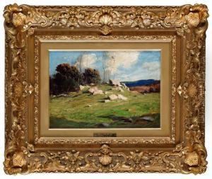 A Stony Hillside. by George Matthew Bruestle