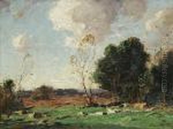 Landscape Of Trees On The Edge Of Aclearing - view 1