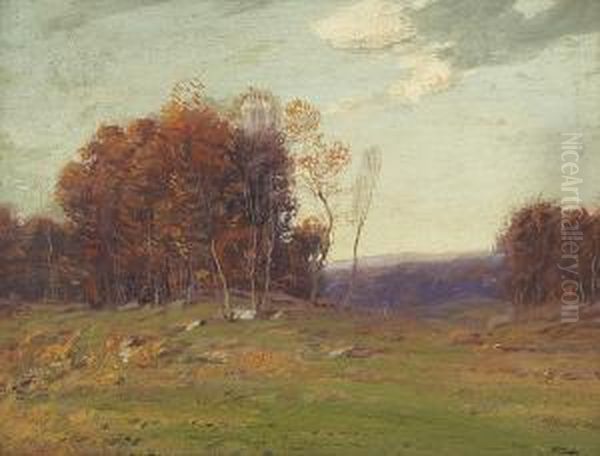 November Afternoon - view 1
