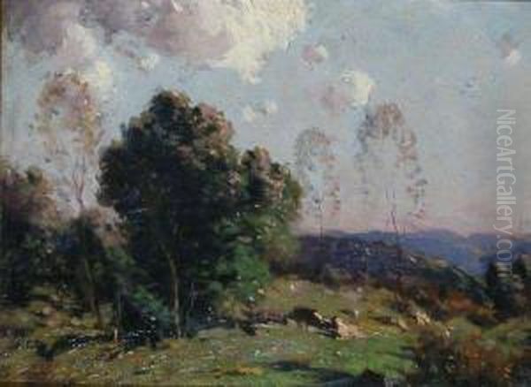 Summer Clouds - view 1
