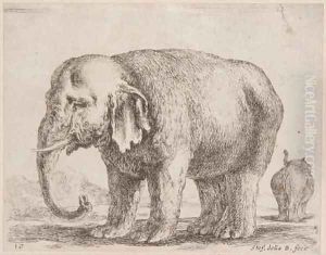 Diversi Animali by Stefano della Bella