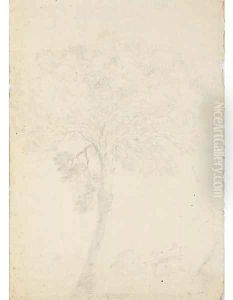 A tree in a landscape, a farmhouse in the background by Stefano della Bella