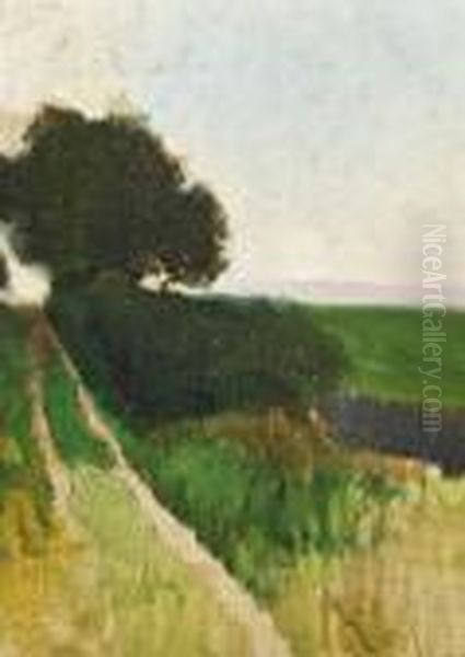 Feldweg - view 1