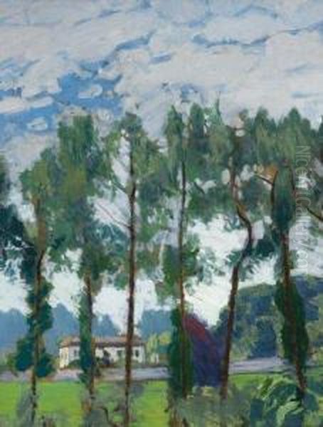 Paysage - view 1