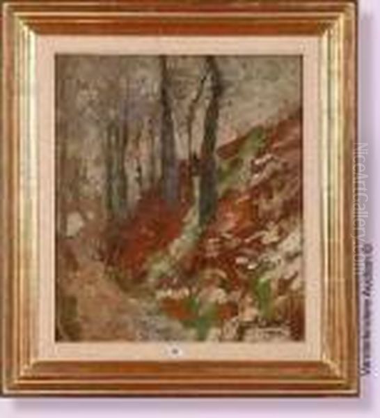 Sentier En Foret - view 1
