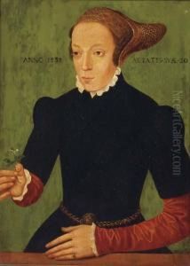 Portrait Of A Lady by Bartholomaeus, the Elder Bruyn