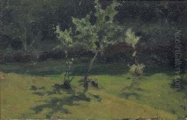 Primavera - view 1