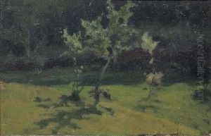 Primavera Primavera