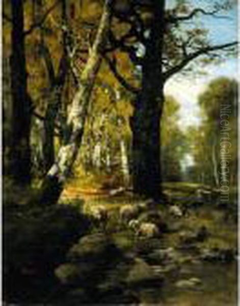 Gregge A Riposo Nel Bosco - view 1
