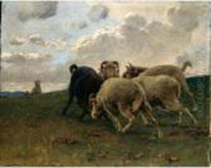 Cozzo Dei Montoni by Stefano Bruzzi