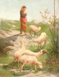Contadina Con Pecore