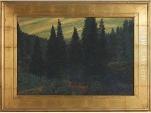 Among The Fir Trees
